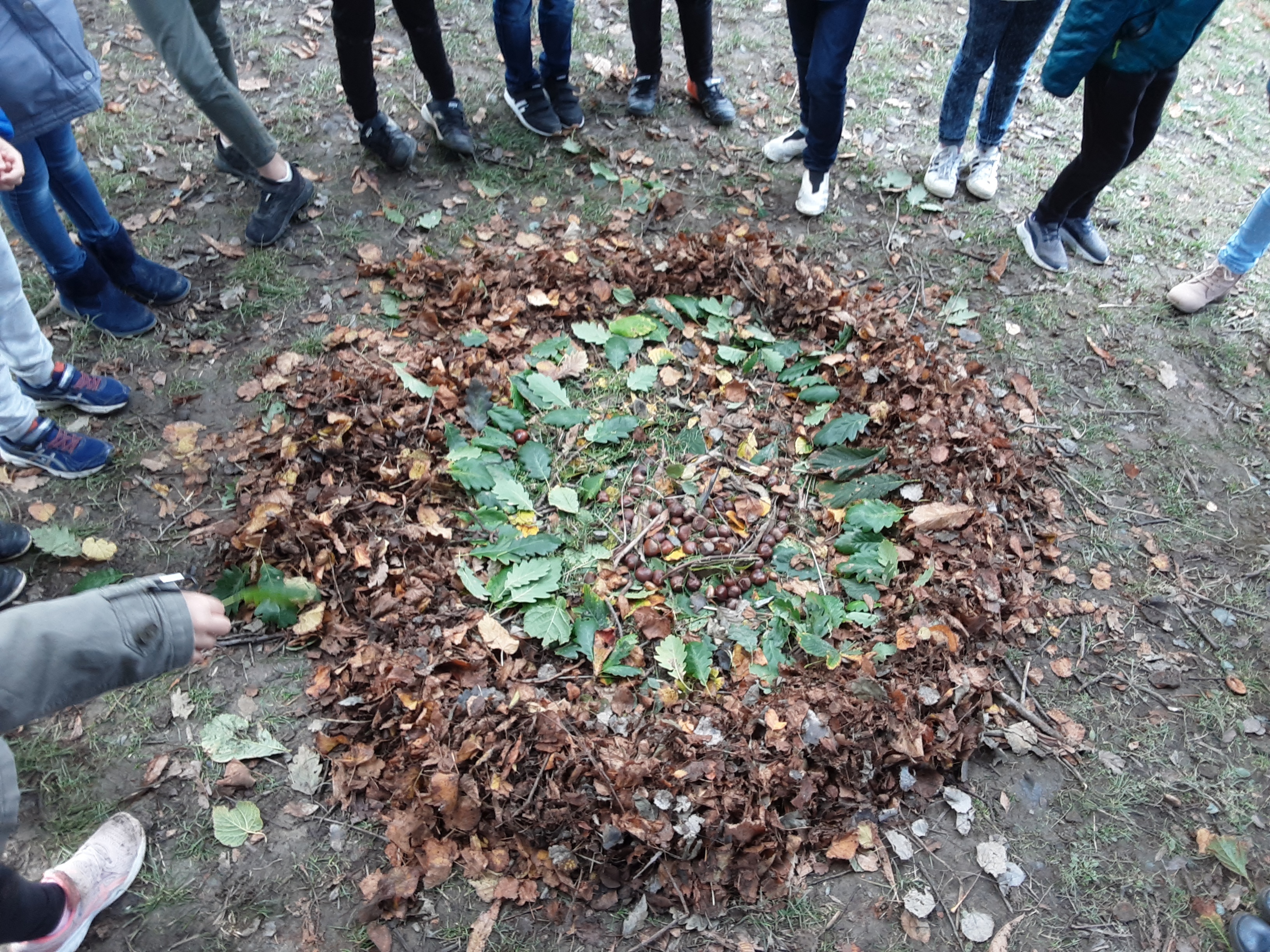CE2/CM1 : Un Mandala d’automne “grandeur Nature”