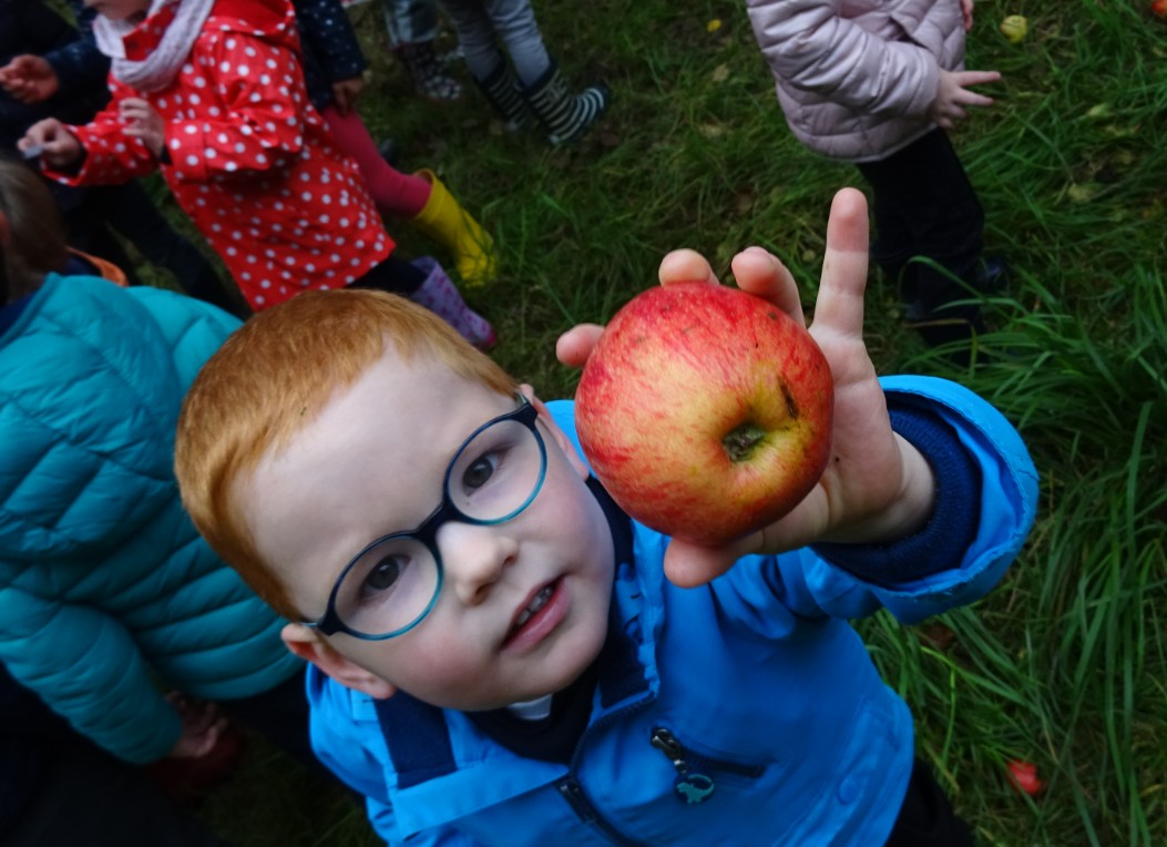 Découverte du verger et atelier cuisine avec des pommes