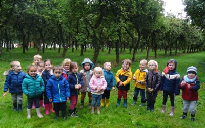 Il était une classe qui allait au verger… les pommes faisaient rouli roula…