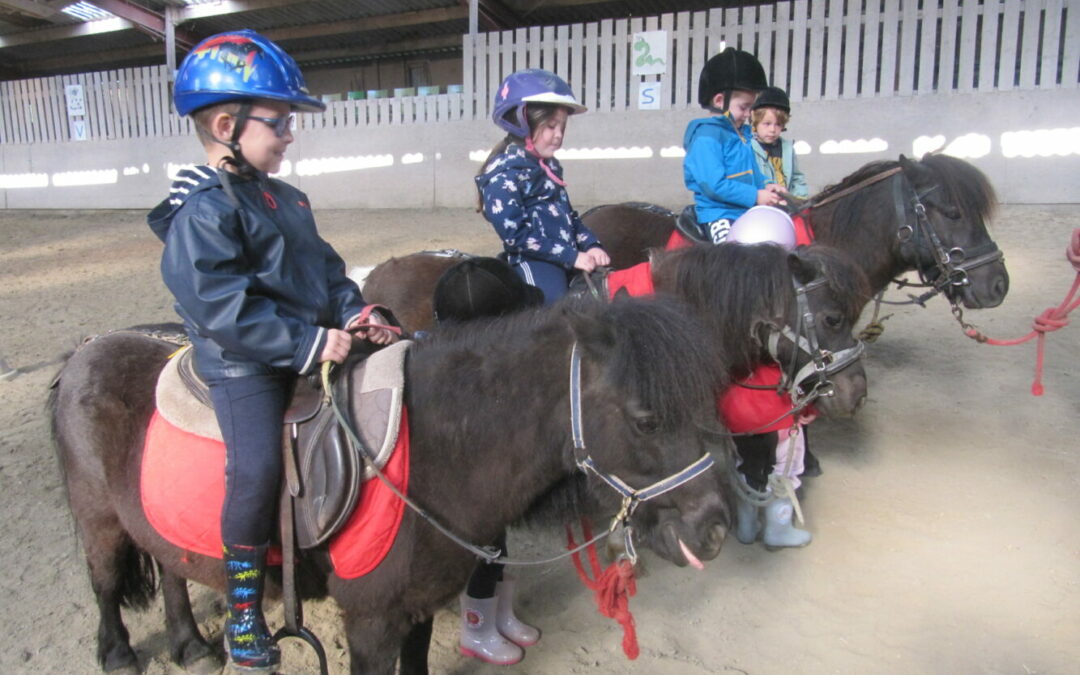 La Classe Poney des Moyennes et Grandes Sections