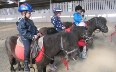 La Classe Poney des Moyennes et Grandes Sections