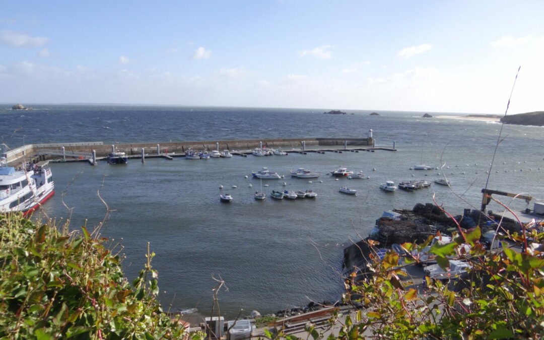 Visite de l’île d’Houat.