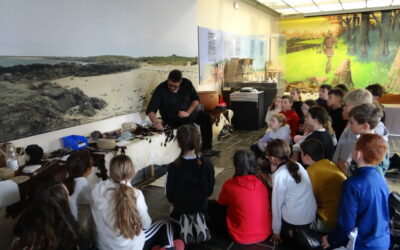 Musée de la Préhistoire